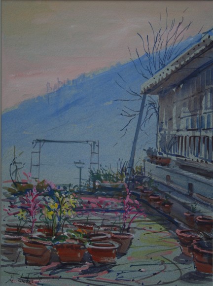 The Garden at Glenburn Tea Estate, India
